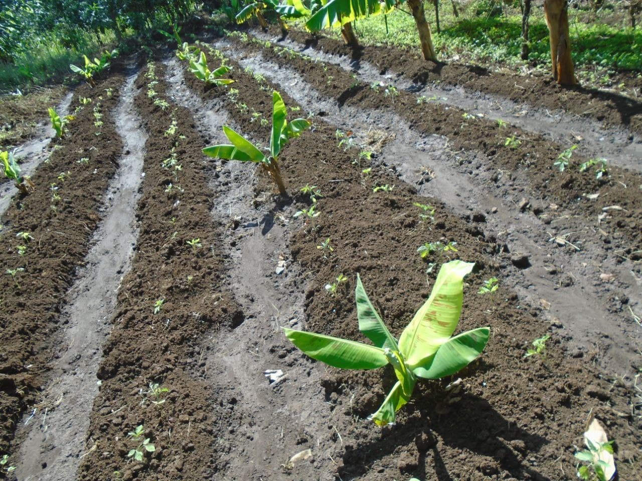 project-slider-image