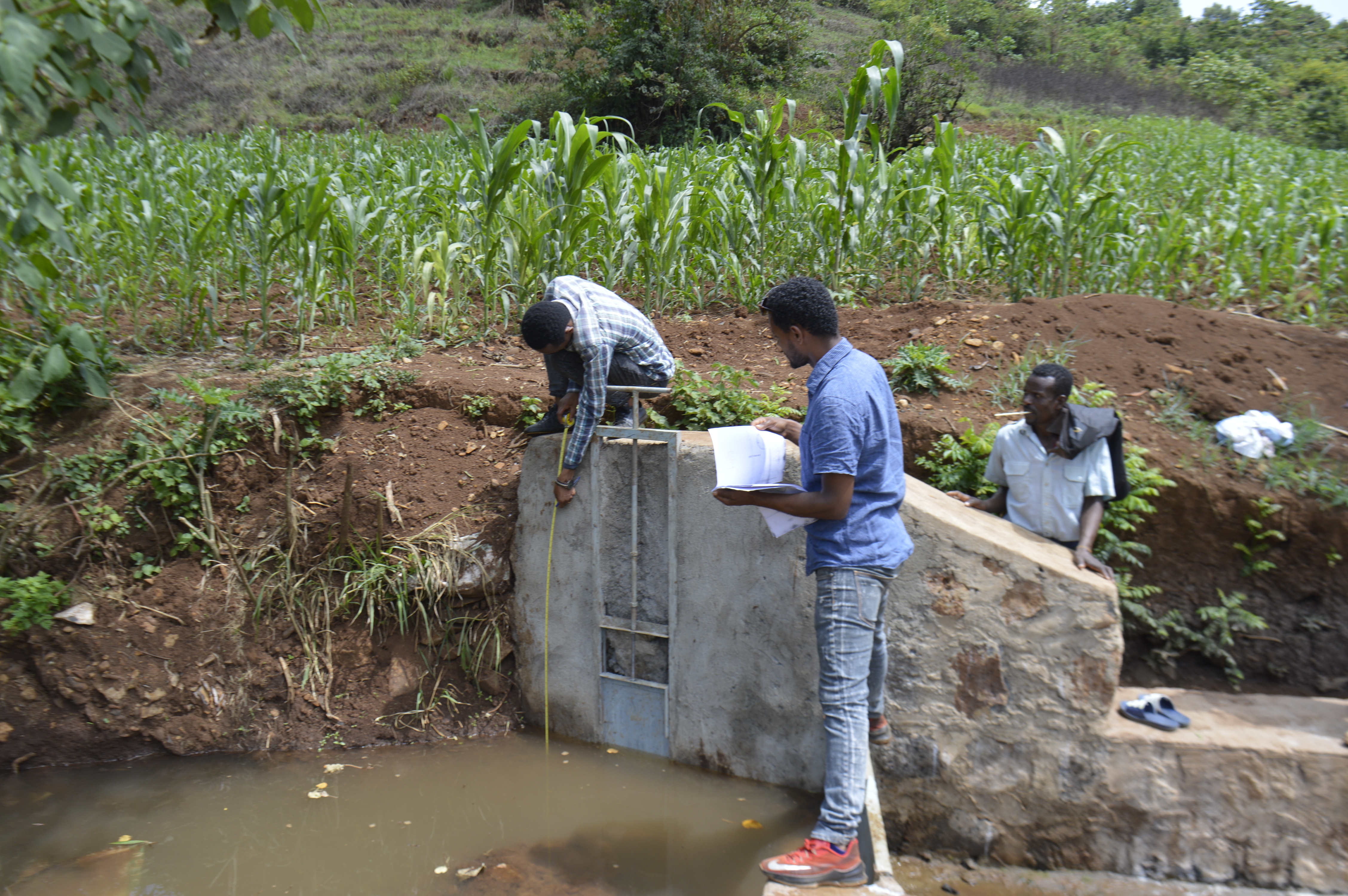 project-slider-image